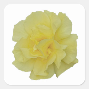Gelbe Blumen Aufkleber