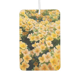 Gelbe Blumen Autolufterfrischer