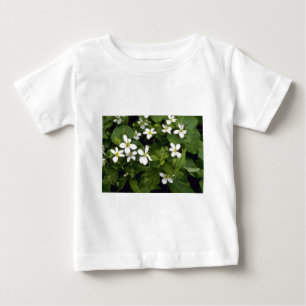 Gelbe Blumen des weißen Veilchens (Viola Baby T-shirt