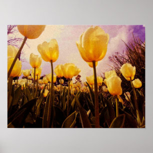 Gelbe Blumen Foto Poster