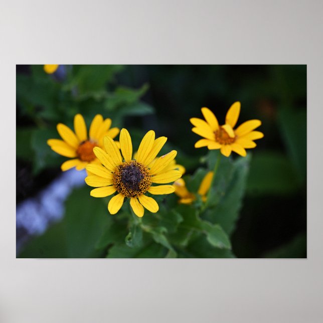 Gelbe Blumen Foto Poster (Vorne)
