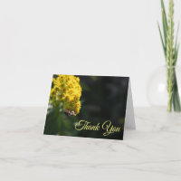 Gelbe Blumen Hummeln Natur Fotografie