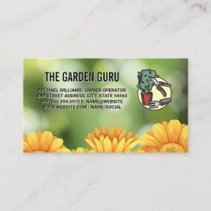 Gelbe Blumen im Garten   Landschaftsgärtnerei Visitenkarte