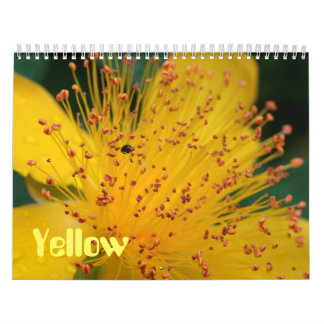 Gelbe Blumen Kalender