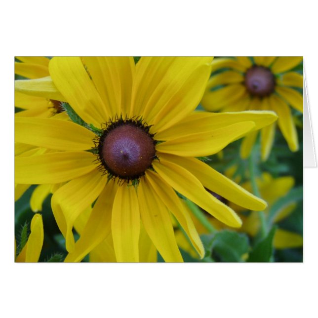 Gelbe Blumen-Karte (Vorderseite (Horizontal))