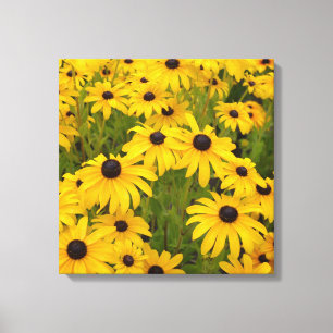 Gelbe Blumen - Mit Augen schwarze Susans Canvas dr Leinwanddruck