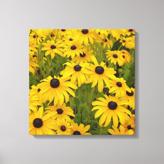 Gelbe Blumen - Mit Augen schwarze Susans Canvas dr Leinwanddruck (Vorderseite)
