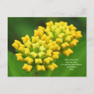 Gelbe Blumen mit Rumi Quote Postkarte