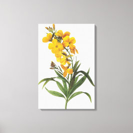 Gelbe Blumen (Name unbekannt) Pierre Joseph Redout Leinwanddruck