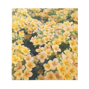 Gelbe Blumen Notizblock