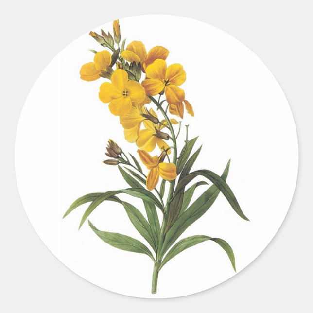 Gelbe Blumen, Pierre Joseph Redouté Runder Aufkleber (Vorderseite)