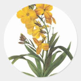Gelbe Blumen, Pierre Joseph Redouté Runder Aufkleber