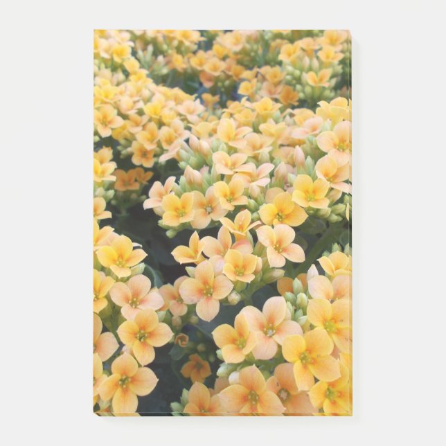 Gelbe Blumen Post-it Klebezettel (Vorderseite)