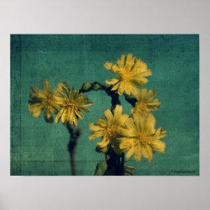 Gelbe Blumen Poster