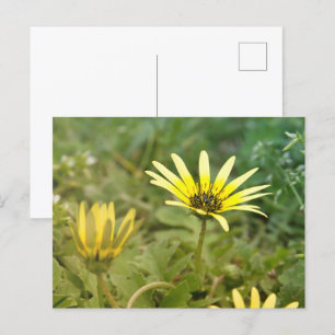 Gelbe Blumen Postkarte
