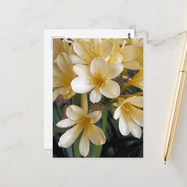 GELBE BLUMEN POSTKARTE (Vorderseite/Rückseite Beispiel)