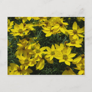 Gelbe Blumen Postkarte