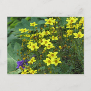 gelbe Blumen Postkarte