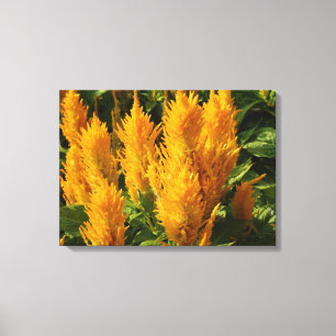 Gelbe Blumen Single Leinwanddruck