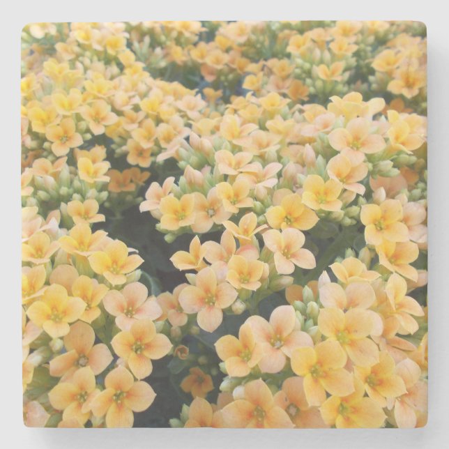 Gelbe Blumen Steinuntersetzer (Vorderseite)
