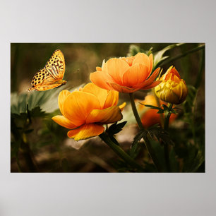 Gelbe Blumen und Schmetterling Poster