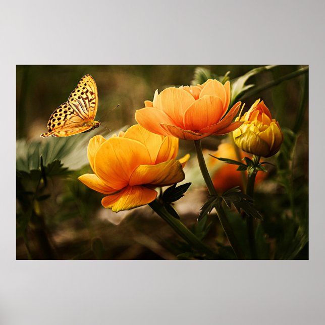 Gelbe Blumen und Schmetterling Poster (Vorne)