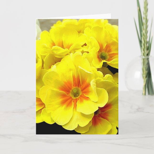 Gelbe Blüte im Frühling Feiertagskarte (Vorderseite)