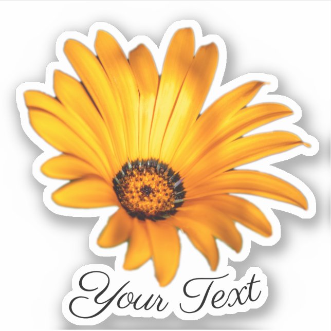 Gelbe Blütenblätter aus Orangenblüten im Frühling Aufkleber (Vorderseite)