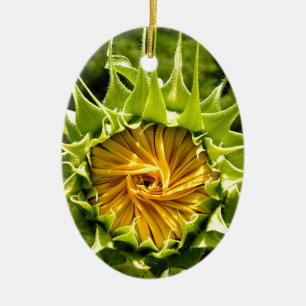 Gelbe Blütenblume Keramikornament
