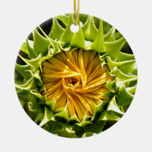 Gelbe Blütenblume Keramikornament