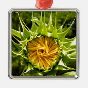 Gelbe Blütenblume Silbernes Ornament