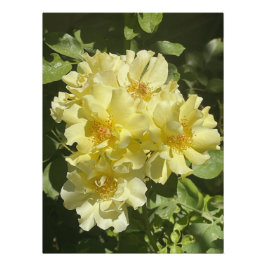 Gelbe botanische Blume Poster