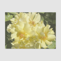 Gelbe Botanische Blumen