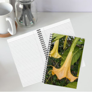 Gelbe Brugmansia-Blüte Floral Notizbuch