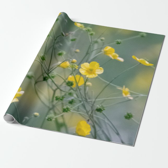 Gelbe Butterblume-Blumen Geschenkpapier (Ungerollt)