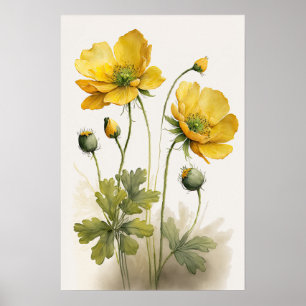 Gelbe Buttertasse Blume Art Print Poster