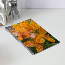 Gelbe Canna-Lilie mit roten Sprenkeln Floral