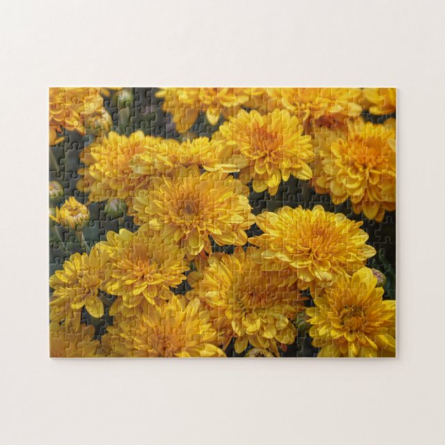 Gelbe Chrysanthemen Blumen Garten Puzzle (Horizontal)