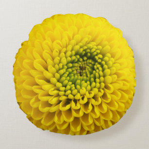 Gelbe Chrysanthemum-Blume Rundes Kissen