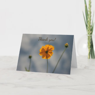 Gelbe Coreopsis Dankeskarte