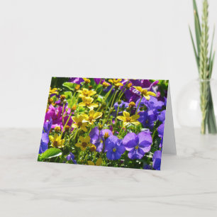 Gelbe Coreopsis und Lila Violas farbenfrohe Blüte Karte