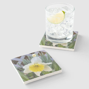 Gelbe Daffodien#1 Steinuntersetzer