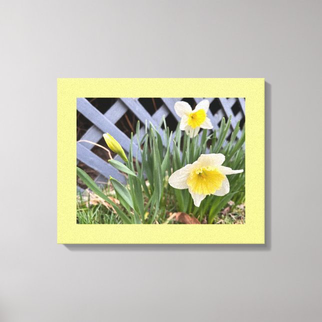 Gelbe Daffodien #2 Leinwanddruck (Vorderseite)