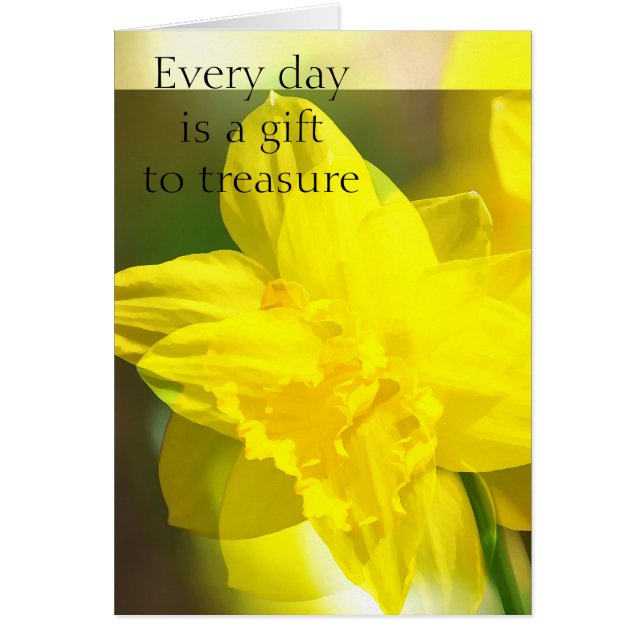 Gelbe Daffodien Abstrakt (Vorne)