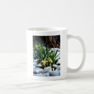 Gelbe Daffodien Blume im Schnee Kaffeetasse