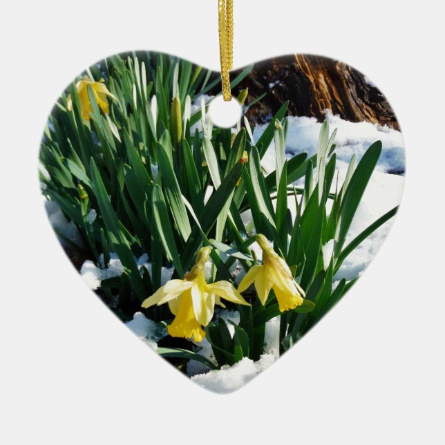 Gelbe Daffodien Blume im Schnee Keramik Ornament (Vorne)