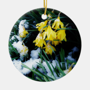 Gelbe Daffodien Blume im Schnee Keramikornament