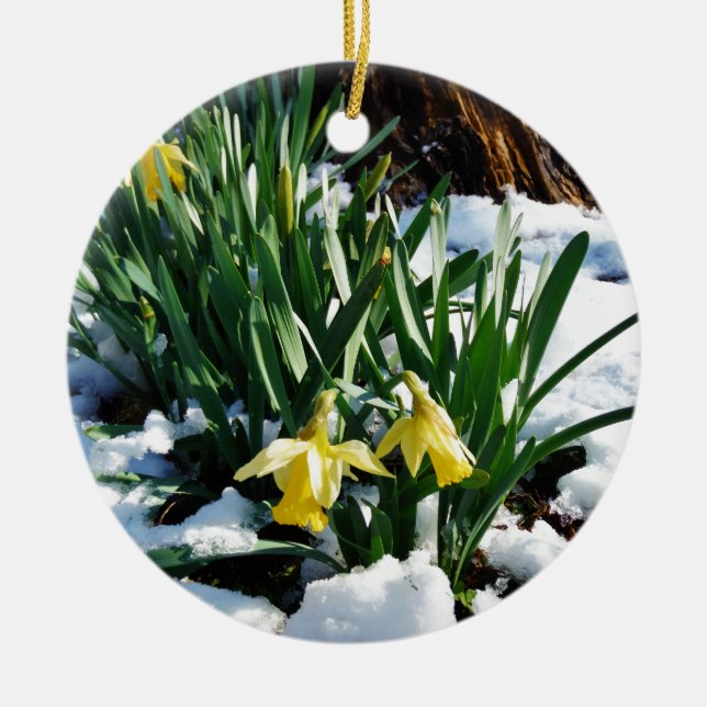 Gelbe Daffodien Blume im Schnee Keramikornament (Vorne)