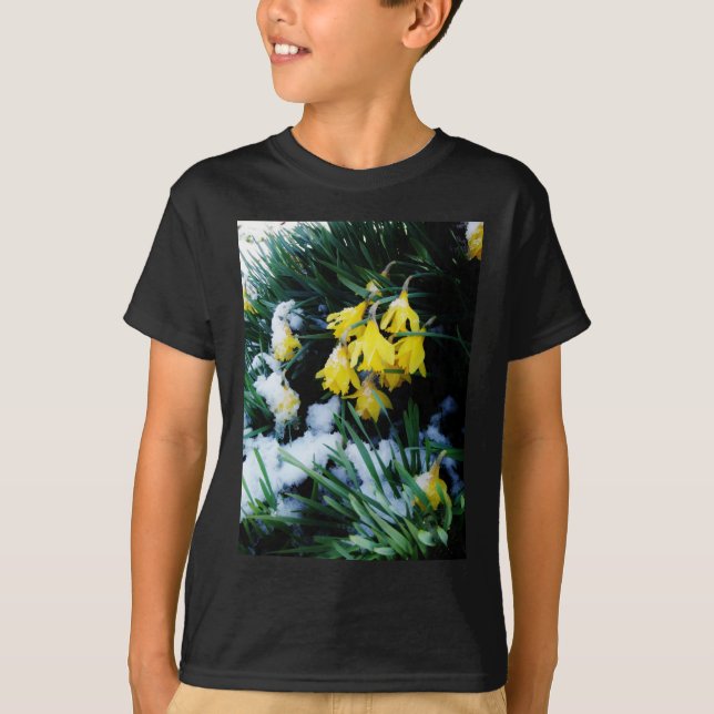 Gelbe Daffodien Blume im Schnee T-Shirt (Vorderseite)