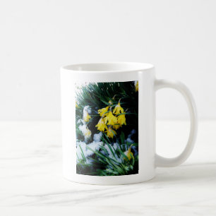 Gelbe Daffodien Blume im Schnee Tasse